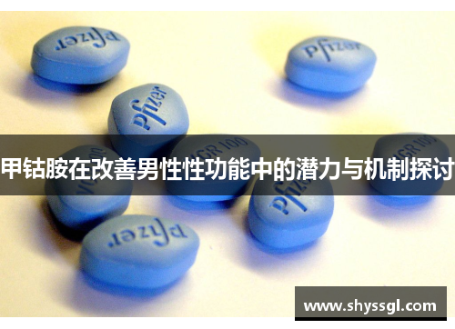 甲钴胺在改善男性性功能中的潜力与机制探讨